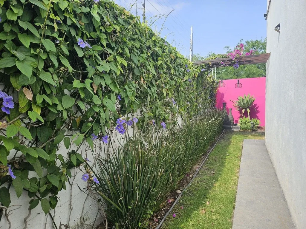 Casa en venta en Zakia Argu