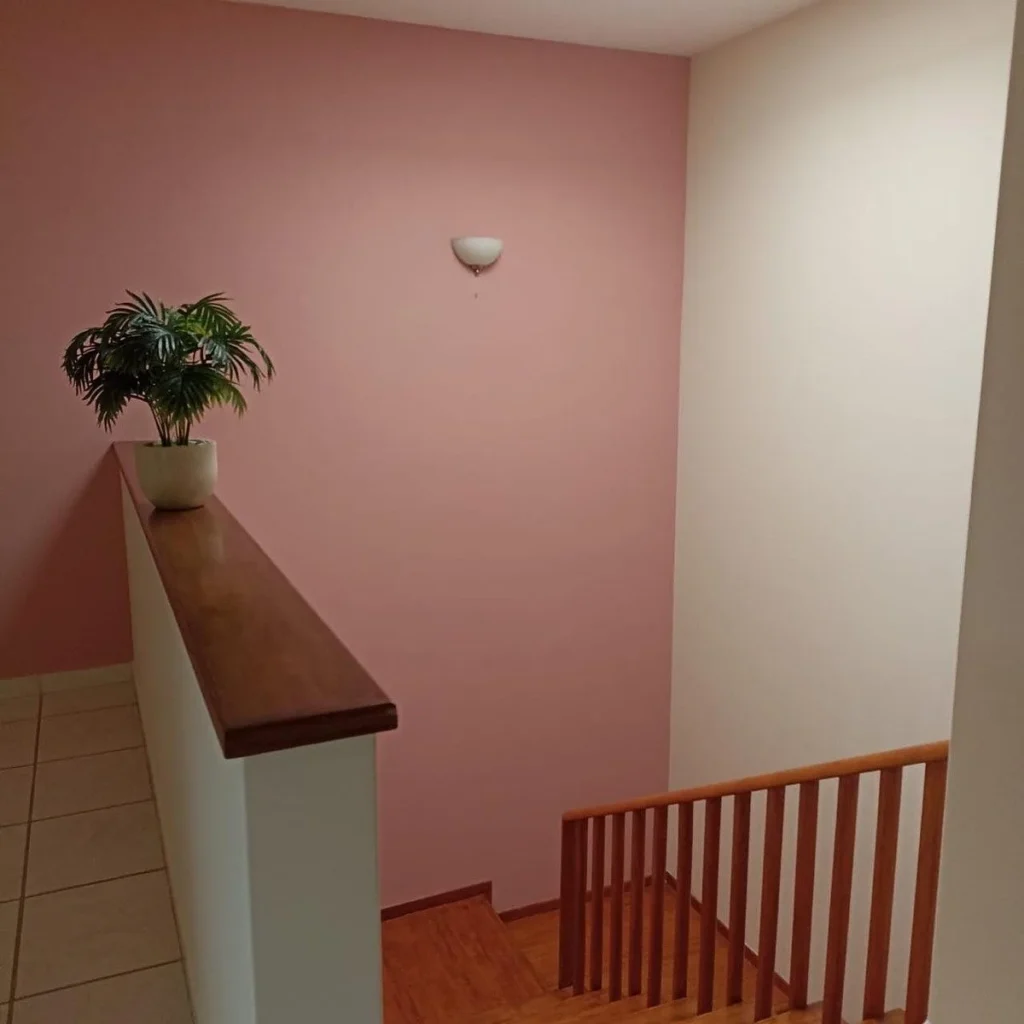 RENTA AMPLIA CASA EN CENTRO SUR