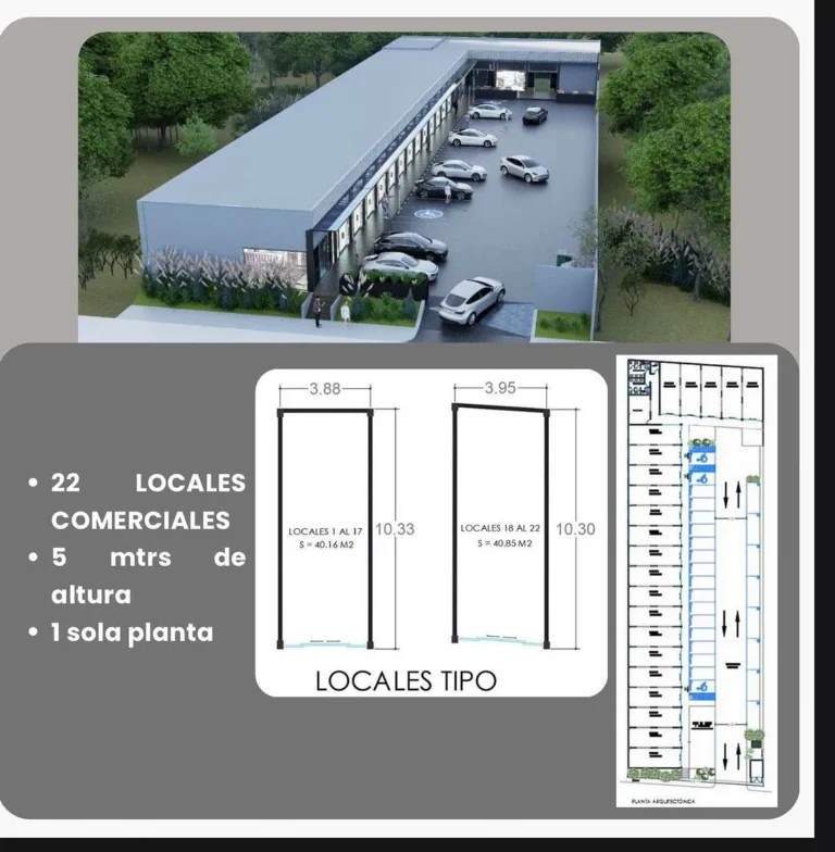 PREVENTA EXCELENTES LOCALES , PLAZA ABETO