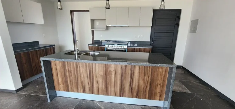 DEPARTAMENTO EN RENTA EN SIN AMUEBLAR EN LA VISTA EN PRIVADA