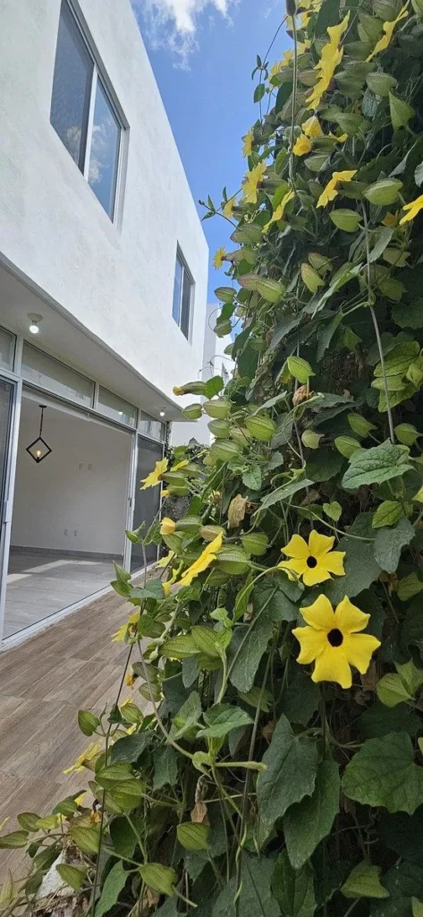 Casa en venta en San Isidro Juriquilla