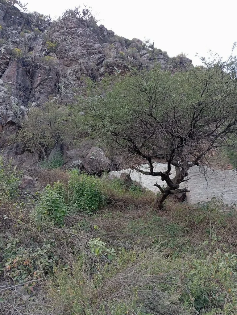 TERRENO EN VENTA EN LA CAÑADA