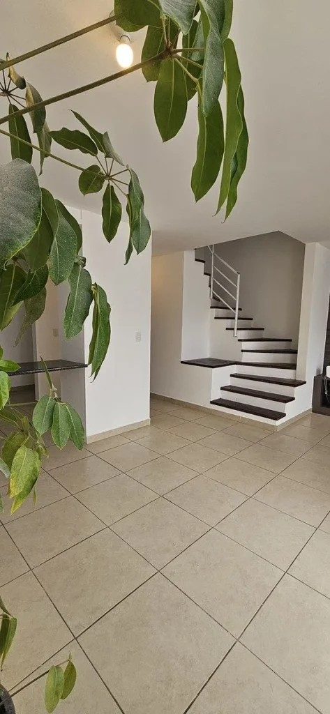 Casa en renta en Zakia
