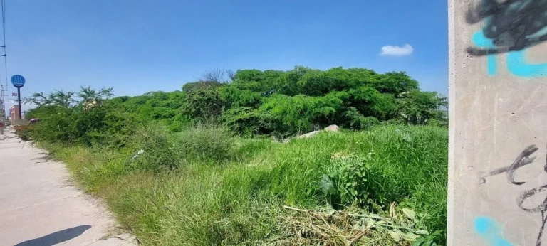 TERRENO COMERCIAL EN VENTA BERNARDO QUINTANA