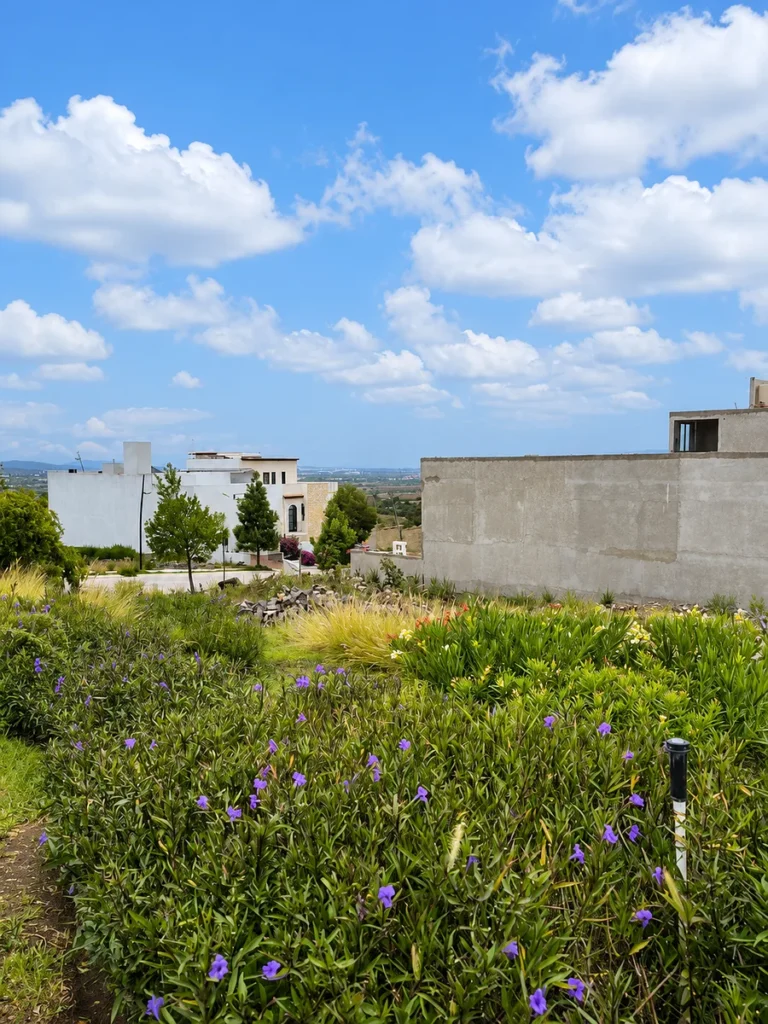 🌱 Terreno en venta en El Mayorazgo – Gran oportunidad de inversión