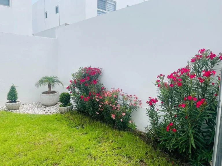 Casa en renta Amueblada en Cumbres de Juriquilla