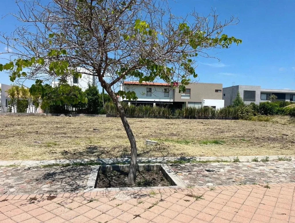 TERRENOS EN VENTA DENTRO DE CAMPANARIO