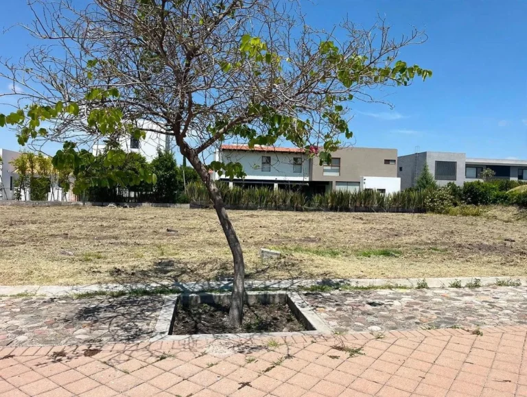 TERRENOS EN VENTA DENTRO DE CAMPANARIO