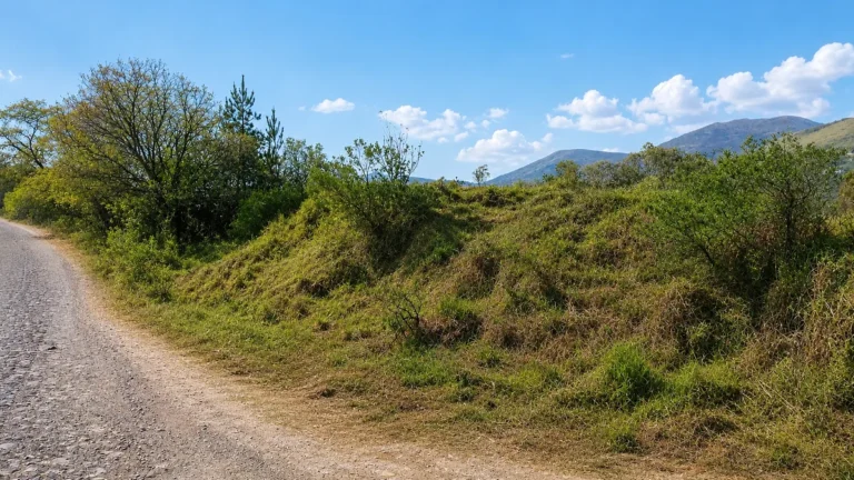 Terreno en Venta en Amealco, Querétaro